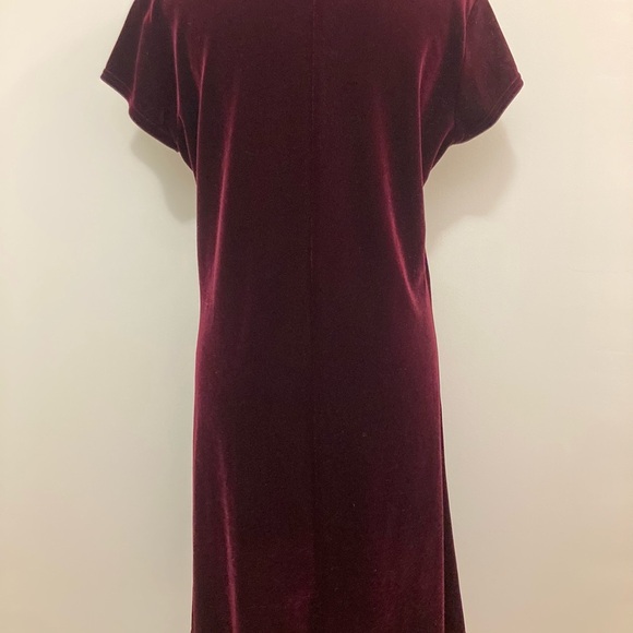Elegant Velvet Burgundy Dress - Picture 4 of 4